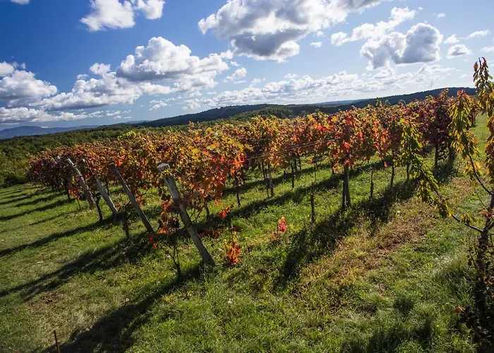 Apartma Baladur Appartamento Brezovica pri Gradinu