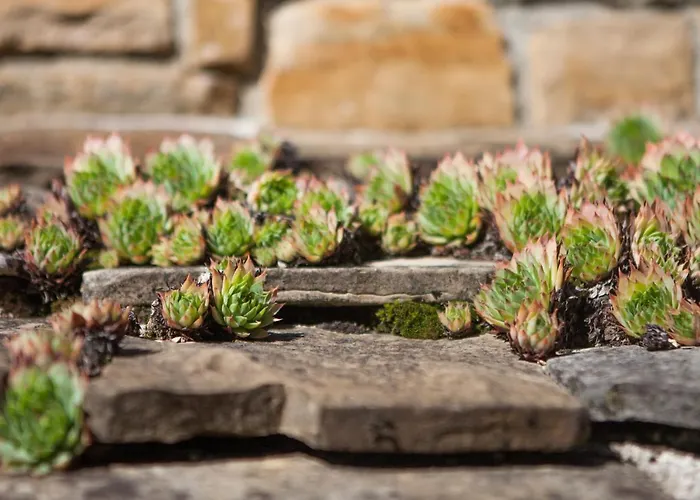 Apartma Baladur Appartamento *