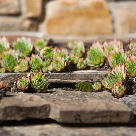 Apartma Baladur Apartamento *