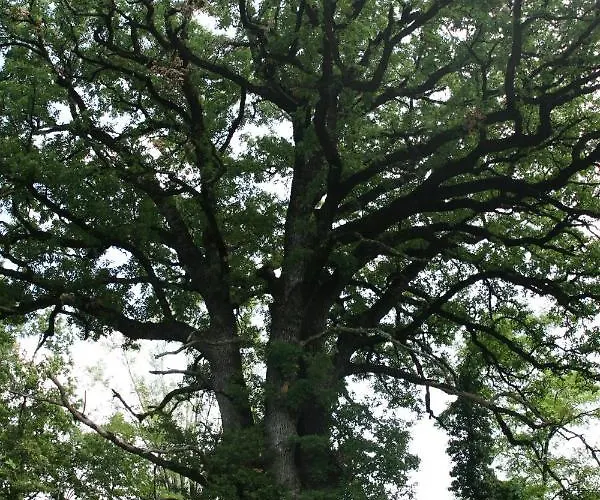 Apartma Baladur Brezovica pri Gradinu