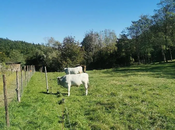 شقة Apartma Baladur